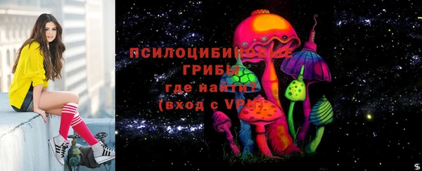 МДПВ Горняк